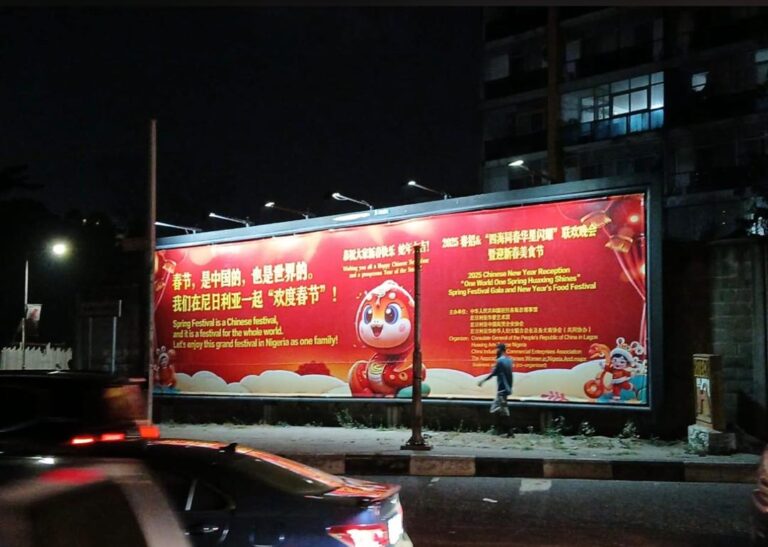 Wall drape billboard celebrating the chinese 2025 spring festival